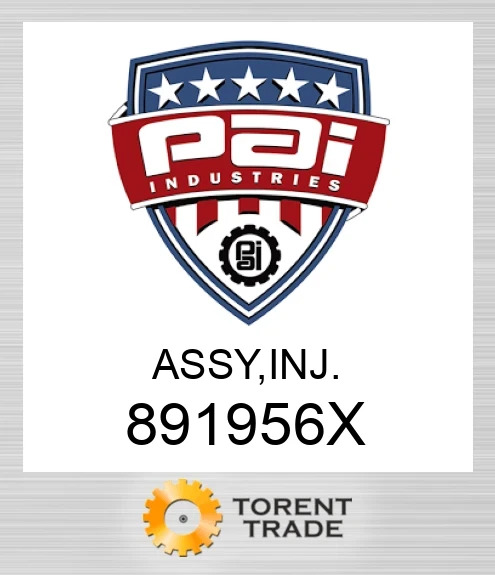 891956X Assy, inj PAI INDUSTRIES