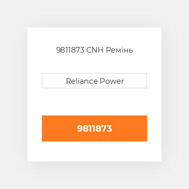 9811873 CNH Ремінь
