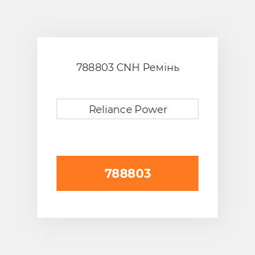 788803 CNH Ремінь