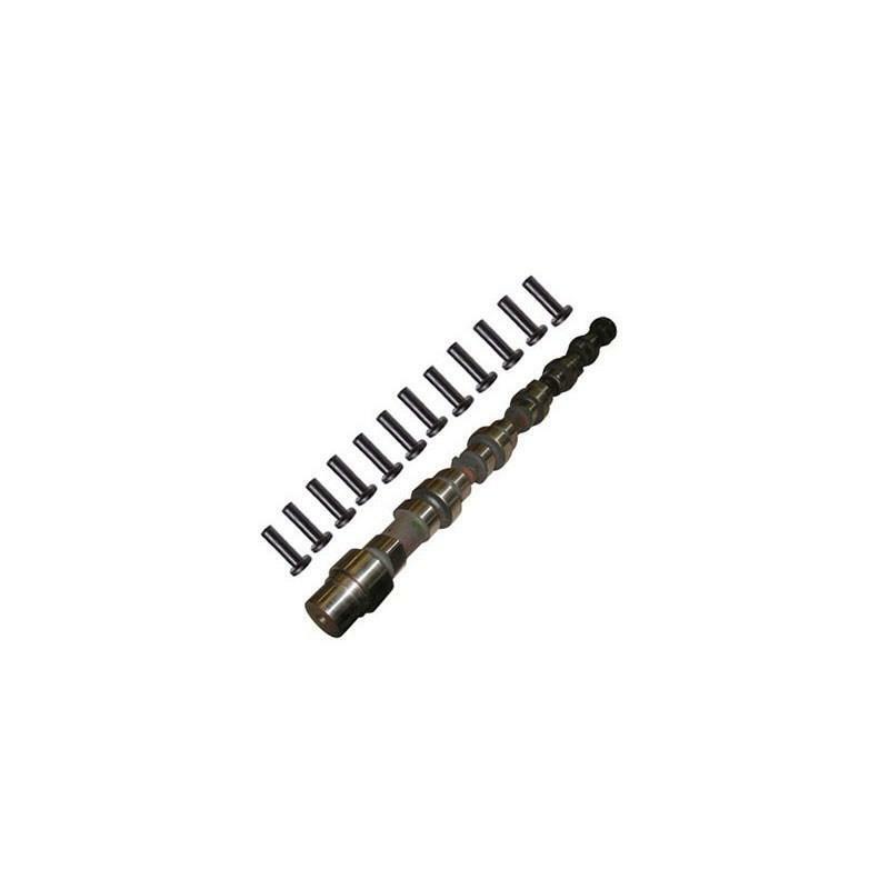 M31415363K Perkins Розпредвал с товкачами клапана