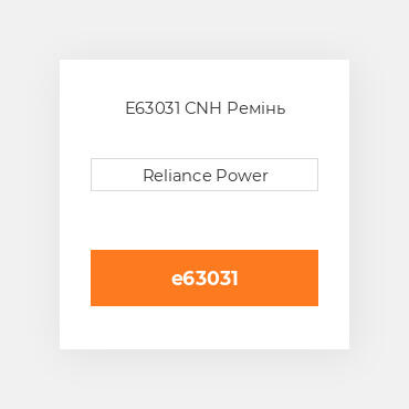E63031 CNH Ремінь