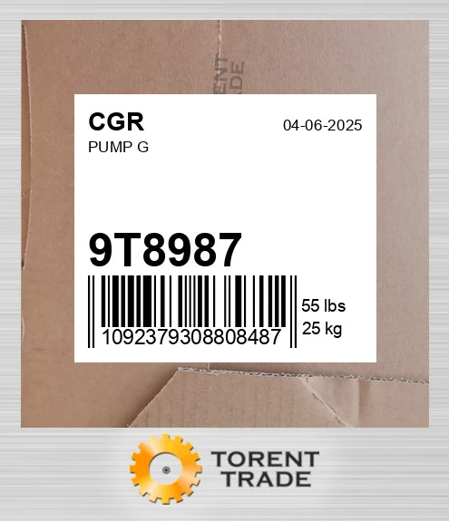 9T8987 Насос G CGR