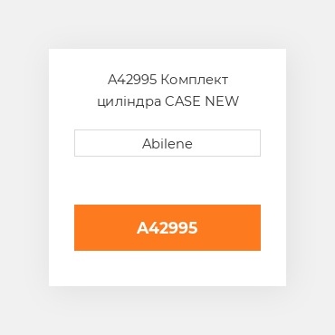 A42995 Комплект циліндра CASE NEW AFTERMARKET