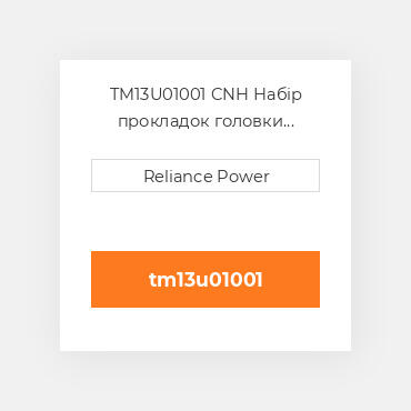 TM13U01001 CNH Набір прокладок головки блока циліндрів двз