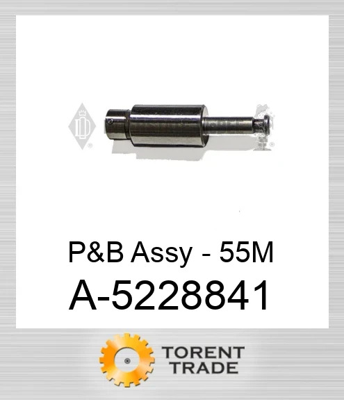 A-5228841 Поршень і шатун у зборі - 55M NEW AFTERMARKET INTERSTATE MCBEE