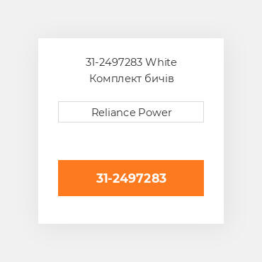 31-2497283 White Комплект бичів