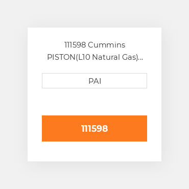 111598 Cummins PISTON(L10 Natural Gas) Поршень комплект