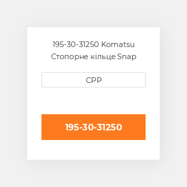 195-30-31250 Komatsu Стопорне кільце Snap Ring