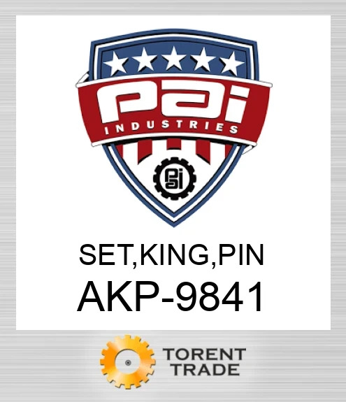 AKP-9841 Комплект, king, pin PAI INDUSTRIES