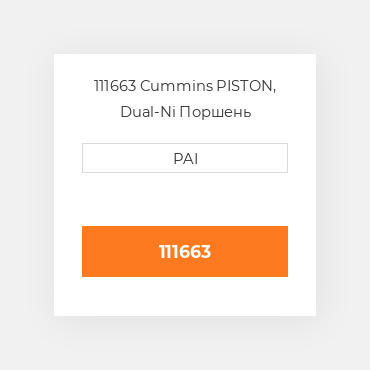 111663 Cummins PISTON, Dual-Ni Поршень комплект
