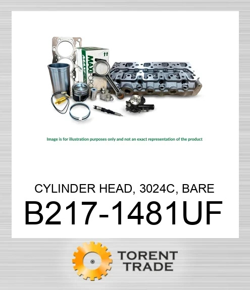 B217-1481UF Головка блоку циліндрів, 3024C, без клапанів MAXIFORCE