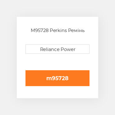 M95728 Perkins Ремінь