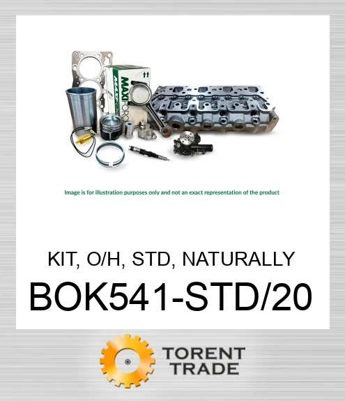 BOK541-STD/20 Комплект, капітальний ремонт, стандартний, безнаддувний, 3013C C1.7  MAXIFORCE