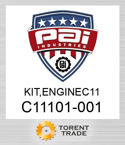 C11101-001 Комплект, двигун c 11 PAI INDUSTRIES