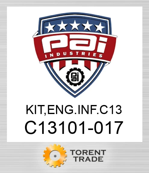 C13101-017 Комплект, двигун infc 13 PAI INDUSTRIES