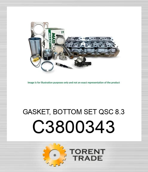 C3800343 Прокладка, нижній комплект, QSC 8.3 MAXIFORCE
