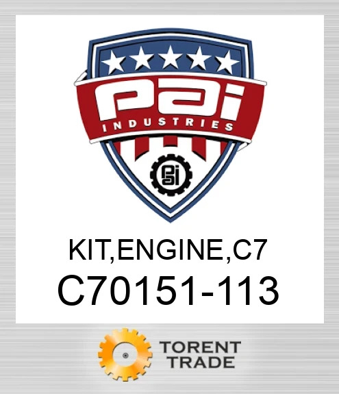 C70151-113 Комплект, двигун , c 7 PAI INDUSTRIES