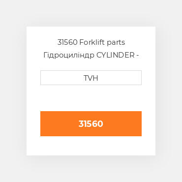 31560 Forklift parts Гідроциліндр CYLINDER - Master