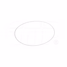 198-15-29210 SEAL RING fits Komatsu (New Aftermarket)
