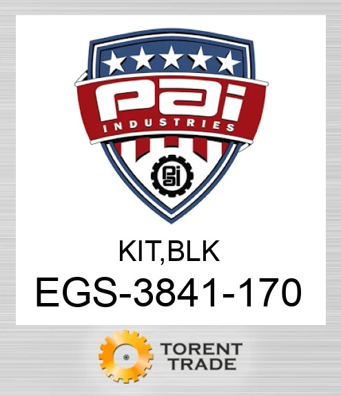 EGS-3841-170 Комплект, блокциліндрів PAI INDUSTRIES