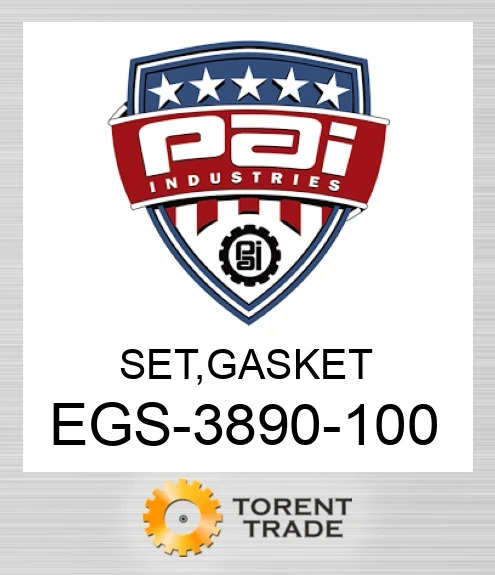 EGS-3890-100 Комплект, прокладка PAI INDUSTRIES