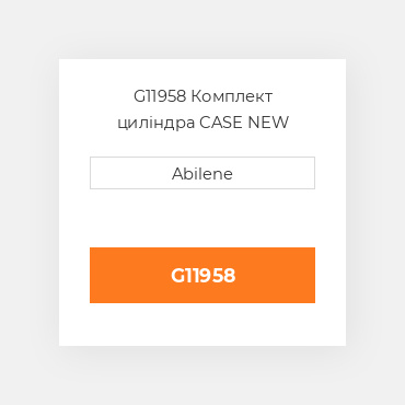 G11958 Комплект циліндра CASE NEW AFTERMARKET