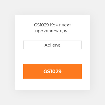 GS1029 Комплект прокладок для капремонту без сальників OLIVER NEW AFTERMARKET
