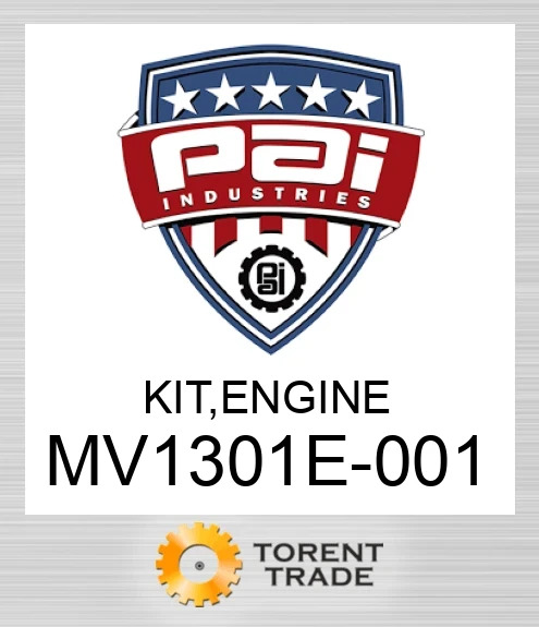 MV1301E-001 Комплект, двигун  PAI INDUSTRIES
