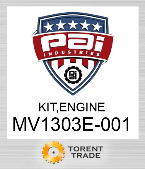 MV1303E-001 Комплект, двигун  PAI INDUSTRIES