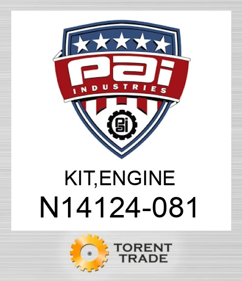 N14124-081 Комплект, двигун  PAI INDUSTRIES