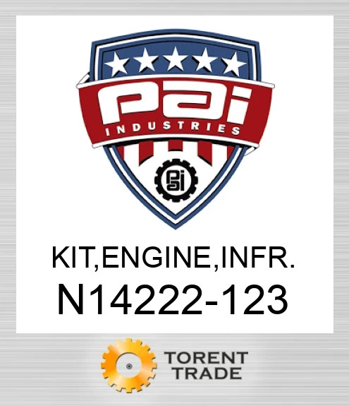 N14222-123 Комплект, двигун , внутрішньорамний ремонт PAI INDUSTRIES
