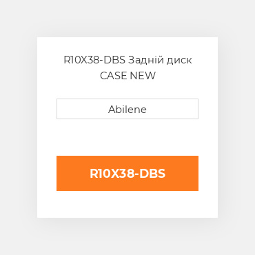 R10X38-DBS Задній диск CASE NEW AFTERMARKET