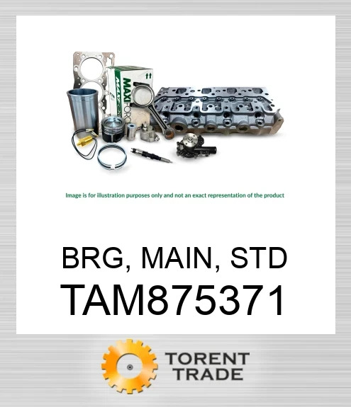 TAM875371 Підшипник, головний, стандартний MAXIFORCE