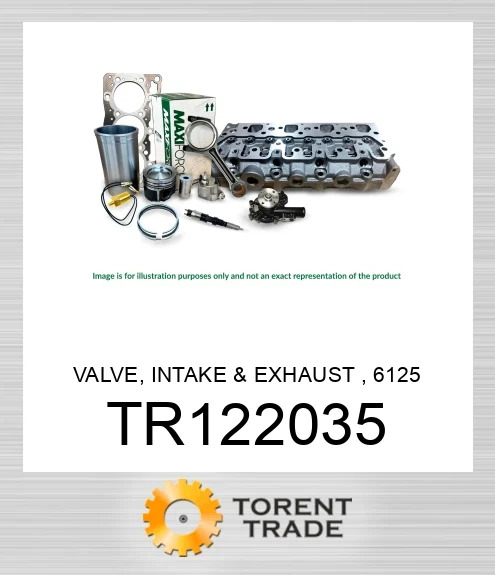 TR122035 Клапан, впускний та випускний, 6125 MAXIFORCE