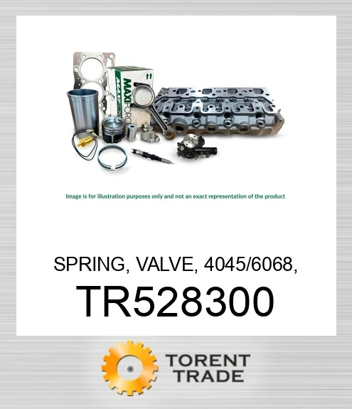 TR528300 Пружина, клапан, серія 1200 MAXIFORCE