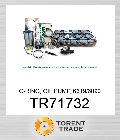TR71732 Ущільнювальне кільце, масляний насос, 6619/6090 MAXIFORCE