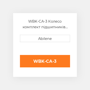 WBK-CA-3 Колесо комплект підшипників CASE NEW AFTERMARKET