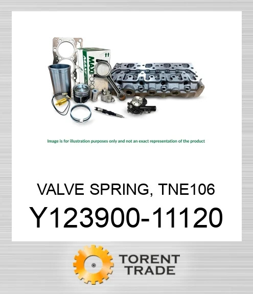 Y123900-11120 Пружина клапана, TNE106 MAXIFORCE