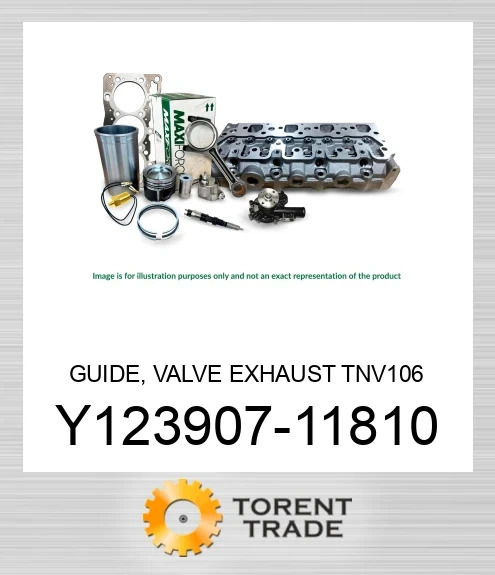 Y123907-11810 Направляюча, випускний клапан TNV106 MAXIFORCE